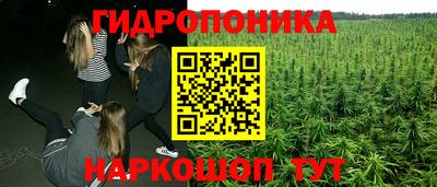 трава Гатчина