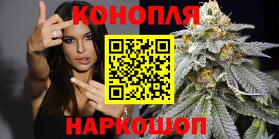трава Гатчина
