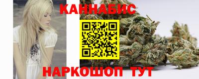 трава Гатчина
