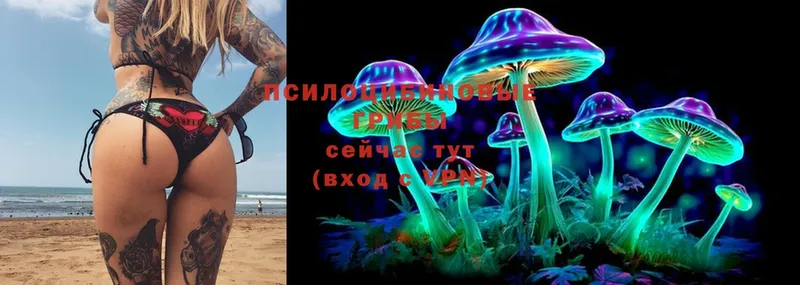 продажа наркотиков  Гулькевичи  Псилоцибиновые грибы MAGIC MUSHROOMS 