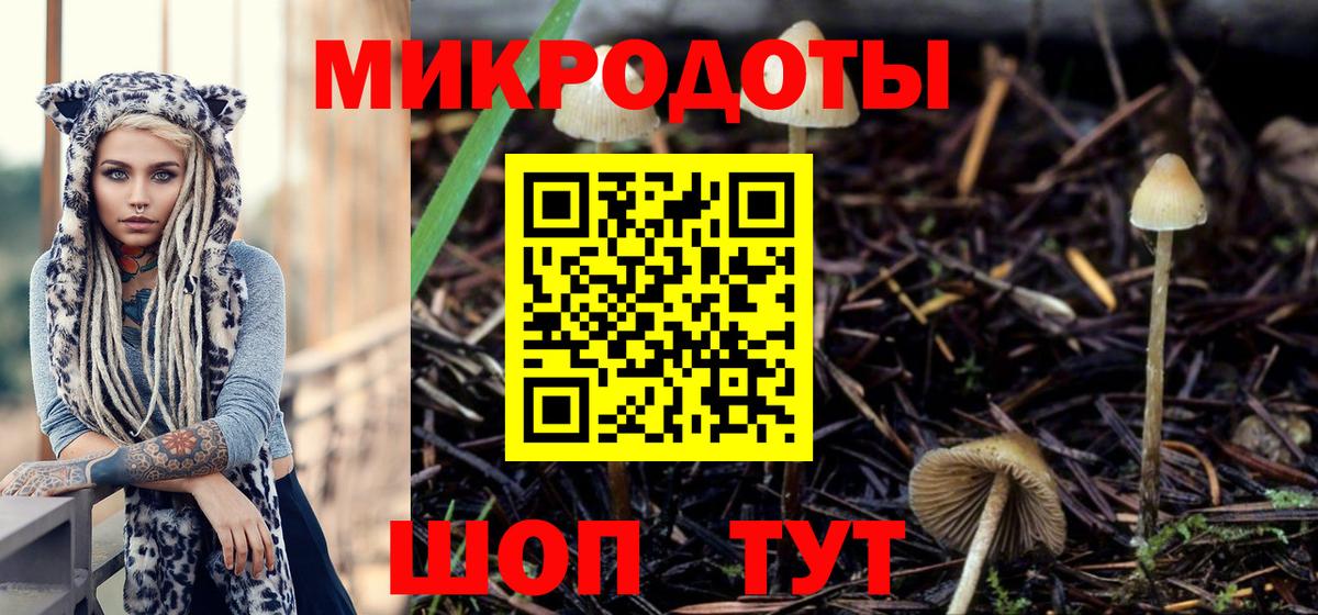 Галлюциногенные грибы прущие грибы  Гулькевичи  Псилоцибиновые грибы ЛСД 