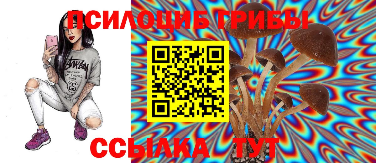 Псилоцибиновые грибы прущие грибы Гулькевичи