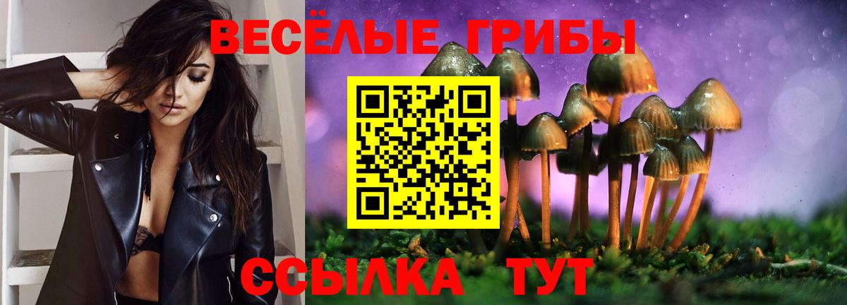 Гулькевичи  Галлюциногенные грибы мицелий  Вход с VPN 
